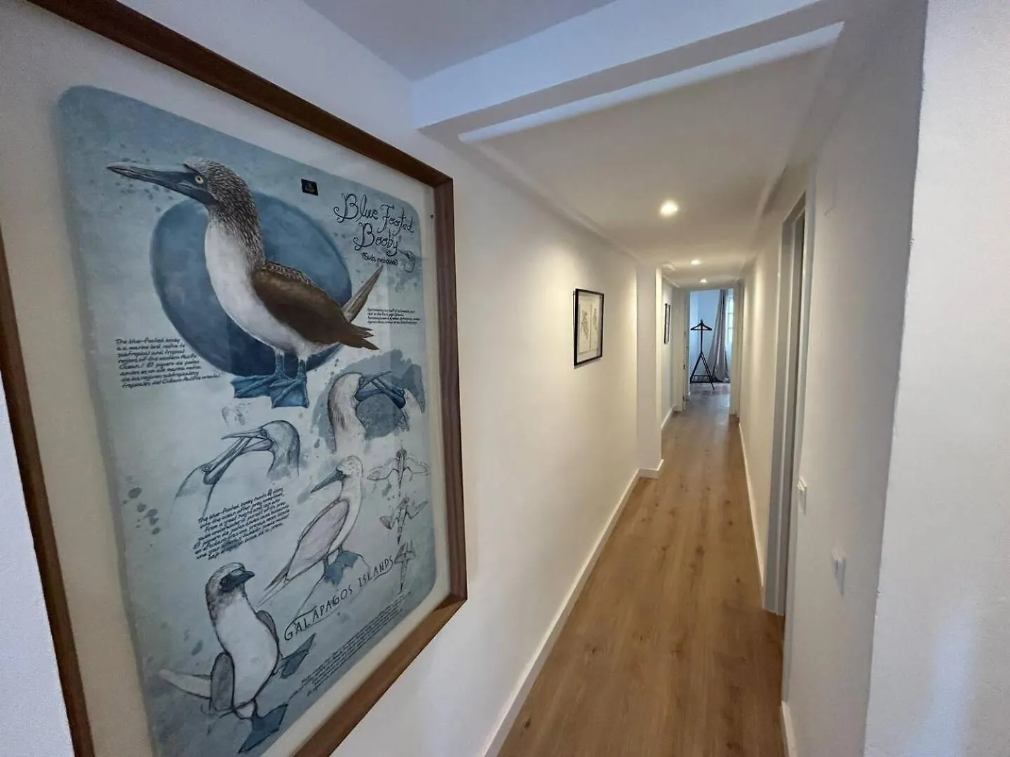 Gran Apartamento Salitre Malaga